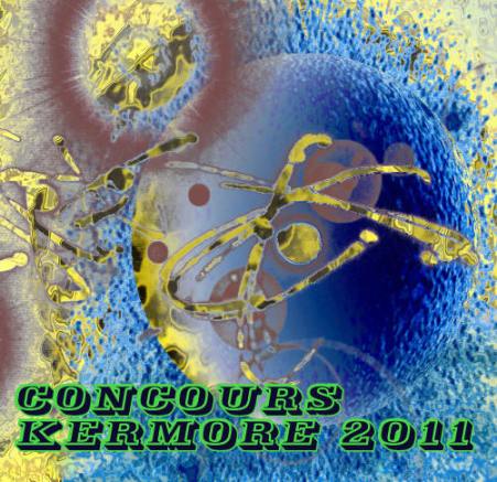 Concours Kermore 2011,