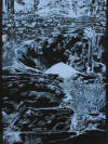fontaine de Kermore 2, Isabelle Kulesz