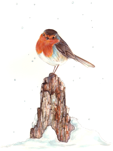 Robin , Rebecca Griffiths